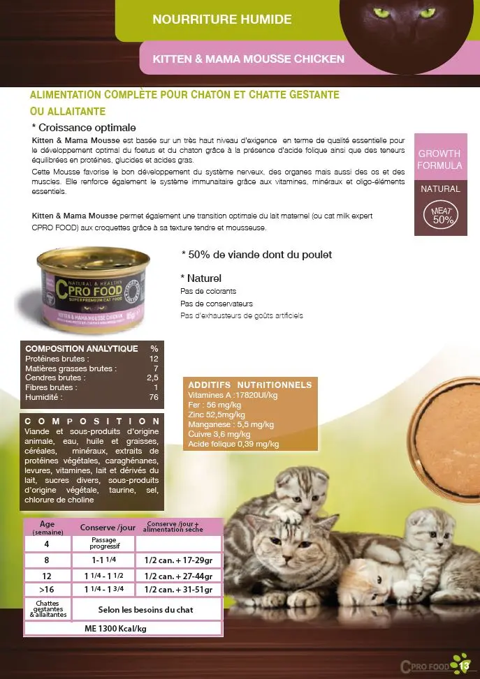 kitten mousse.webp