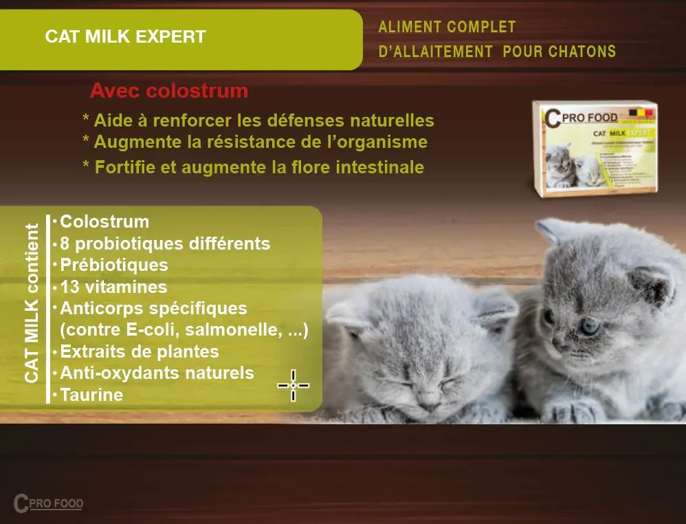 cat milk.webp