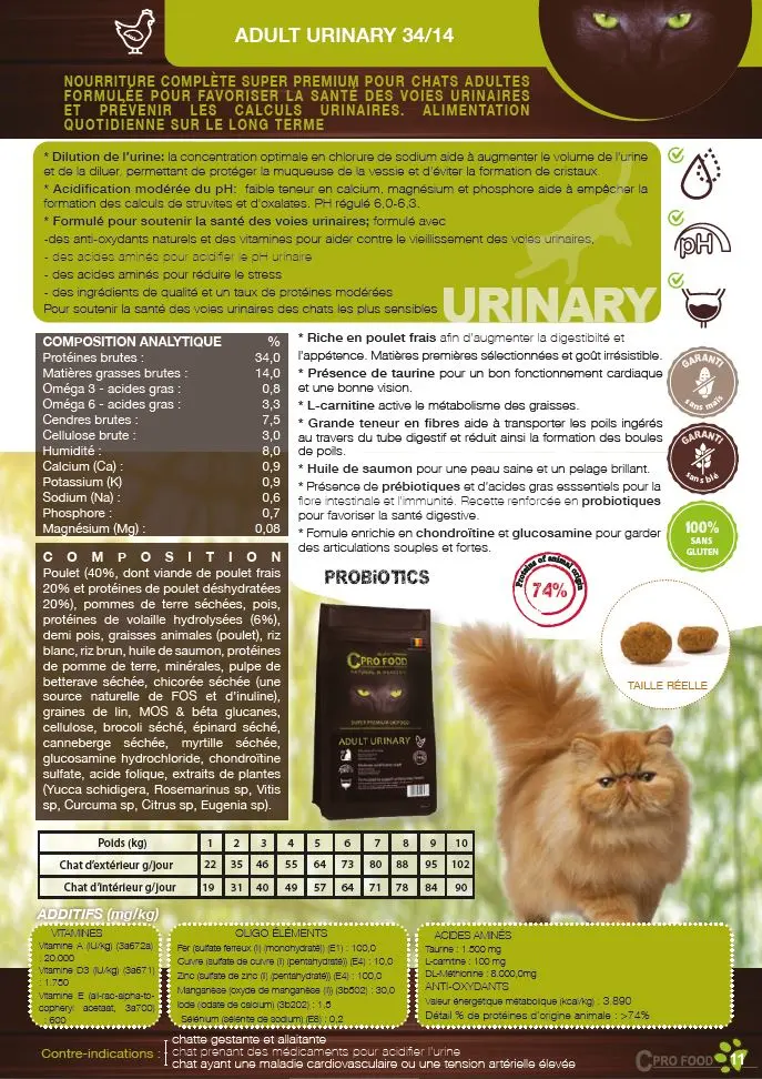 adult urinary.webp