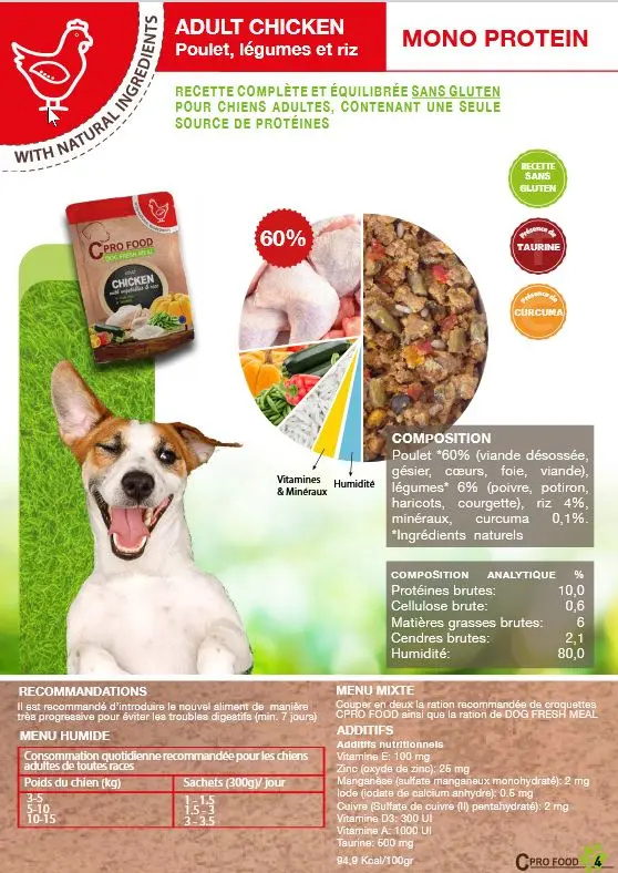 pollo.webp